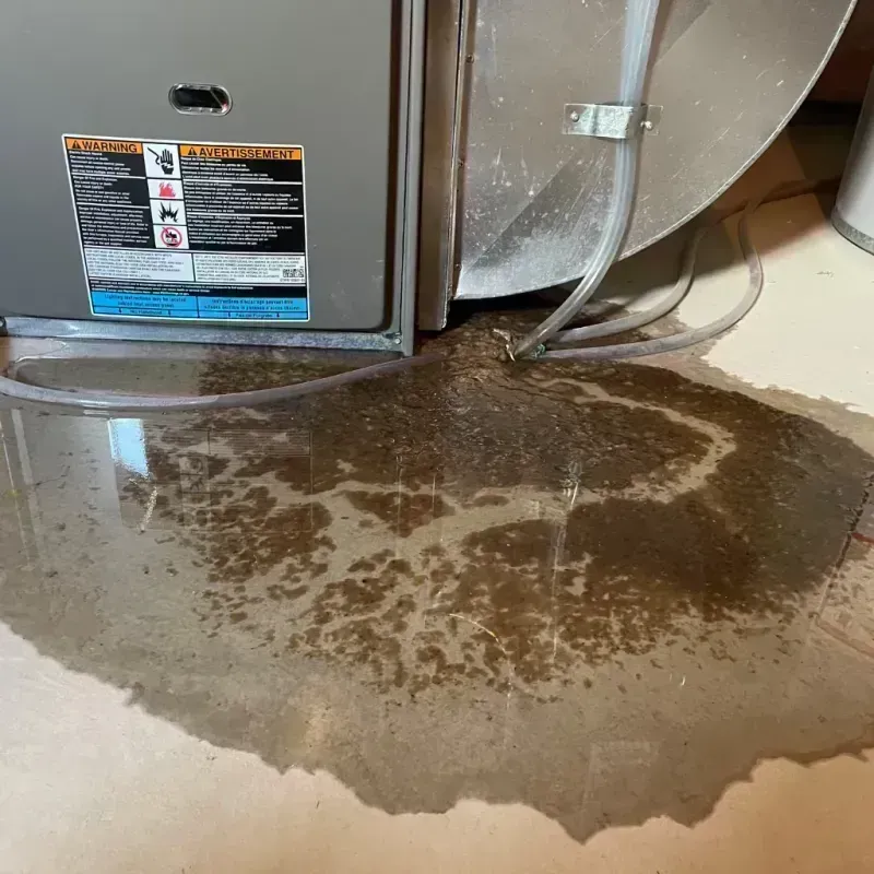 Appliance Leak Cleanup in Ford Heights, IL